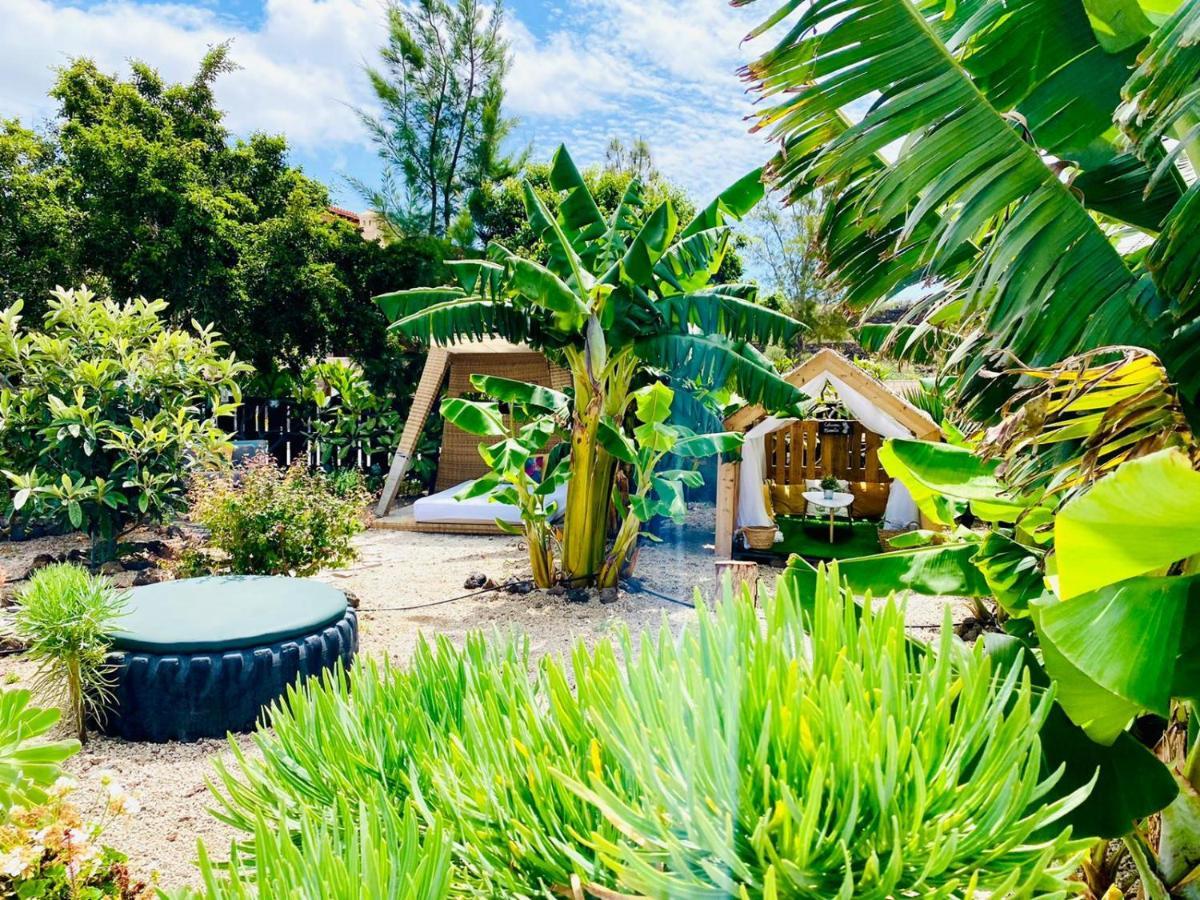 Alisios Hot Tub, Piscina Y Naturaleza Buzanada Eksteriør billede