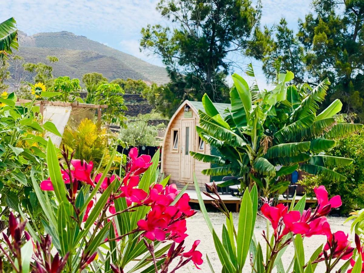 Alisios Hot Tub, Piscina Y Naturaleza Buzanada Eksteriør billede